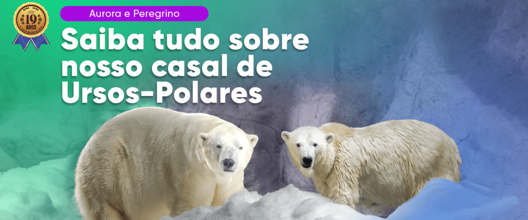 Show das águas-vivas